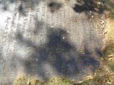 image of grave number 757949
